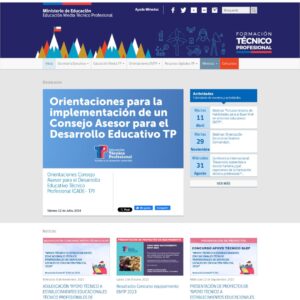 técnico profesional