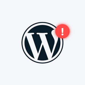 wordpress-error